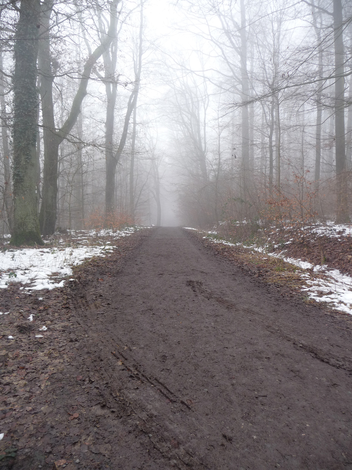 Führt der Weg in die Sonne oder in den Nebel?