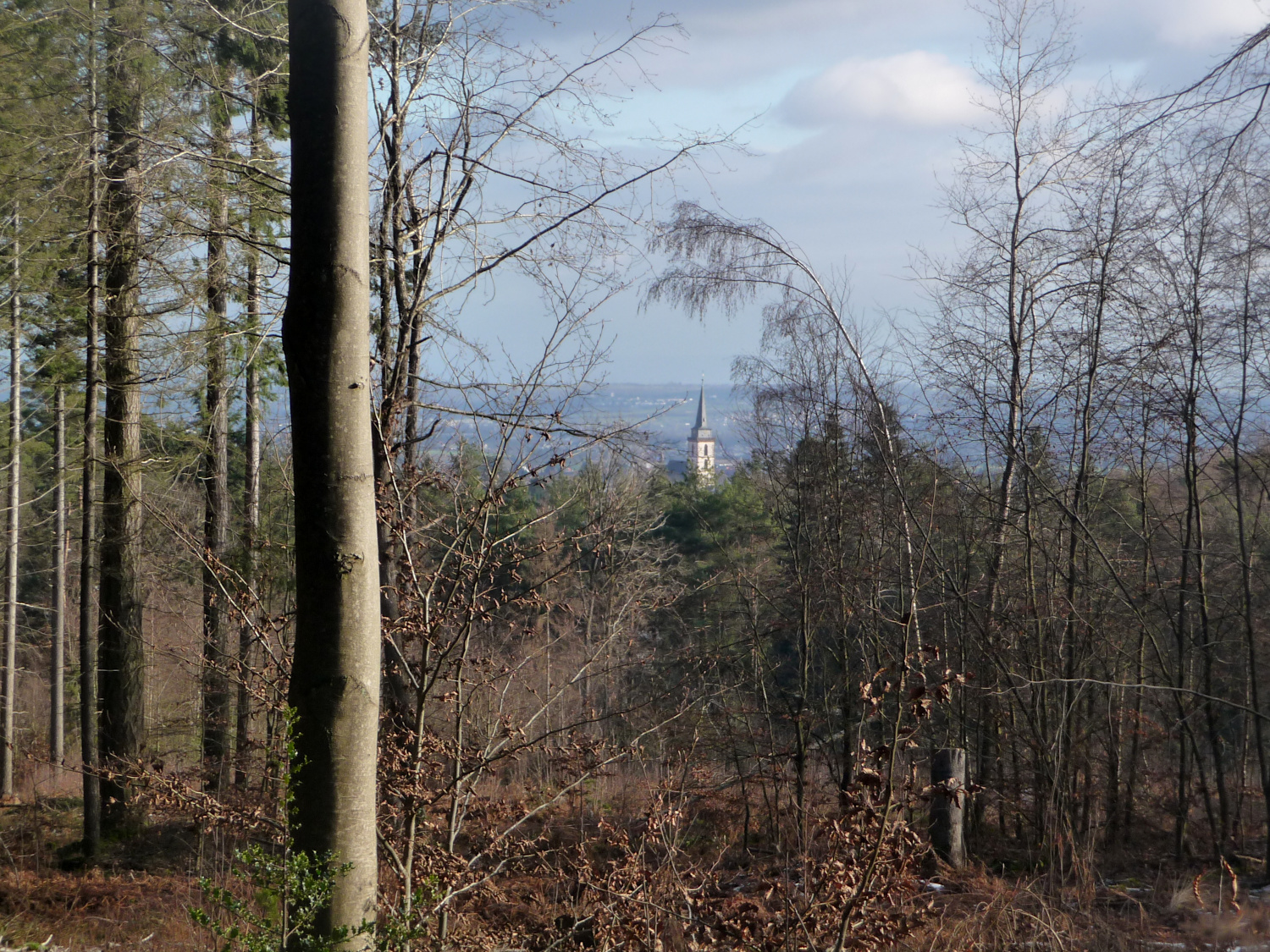 Wo früher Fichten standen, öffnet sich heute der Blick auf den alten Ortskern mit St. Ursula