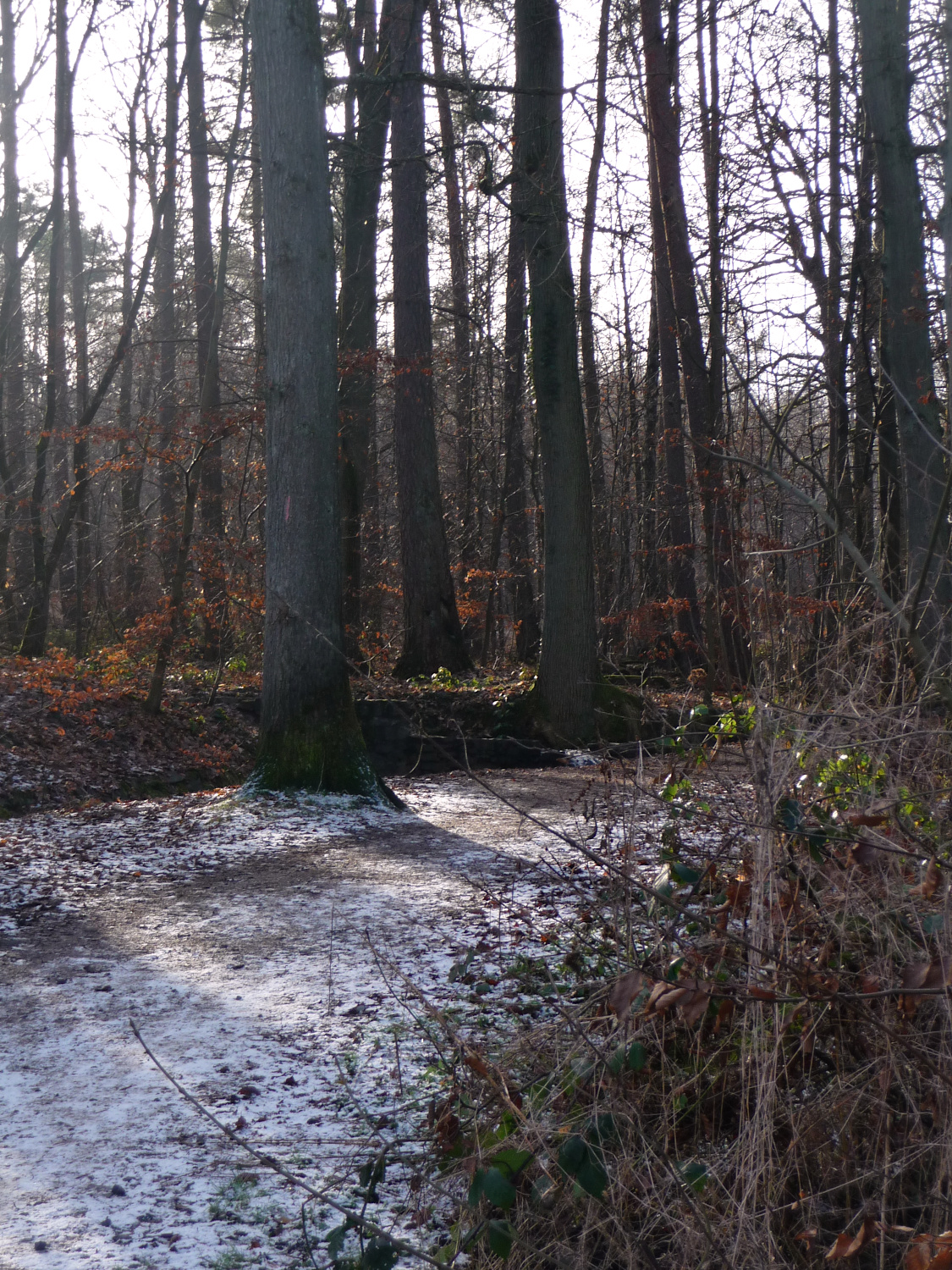 Auf dem Weg zum Überlauf des Werkgrabens vor der ehemaligen Pappenmühel liegt noch etwas Schnee der vergangenen Nacht.