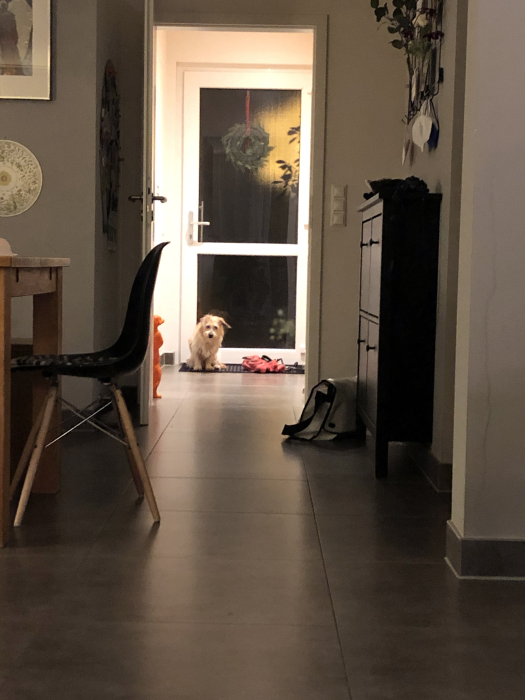 Warten auf den abendlichen Spaziergang