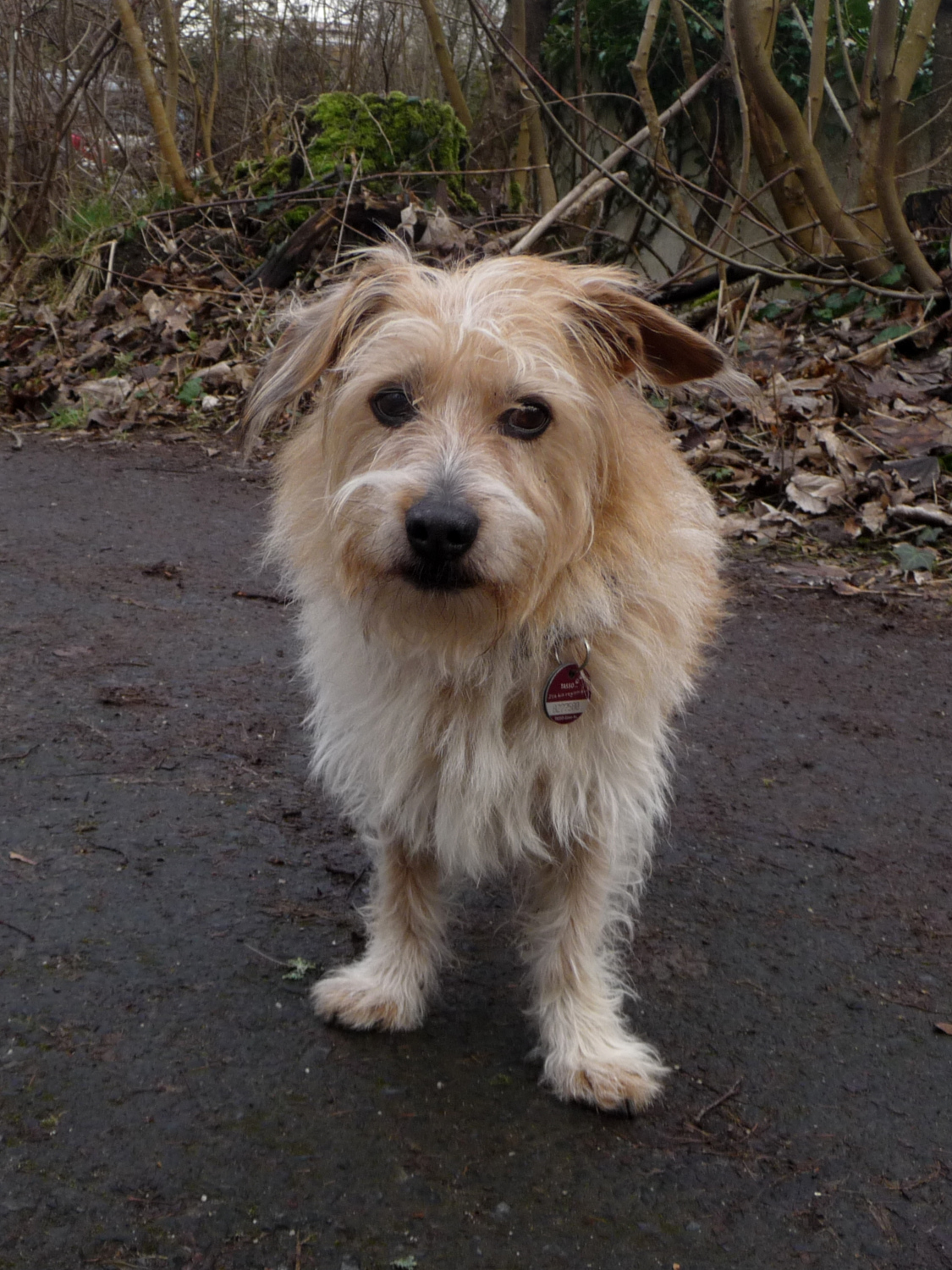 Auf dem Mittagsspaziergang