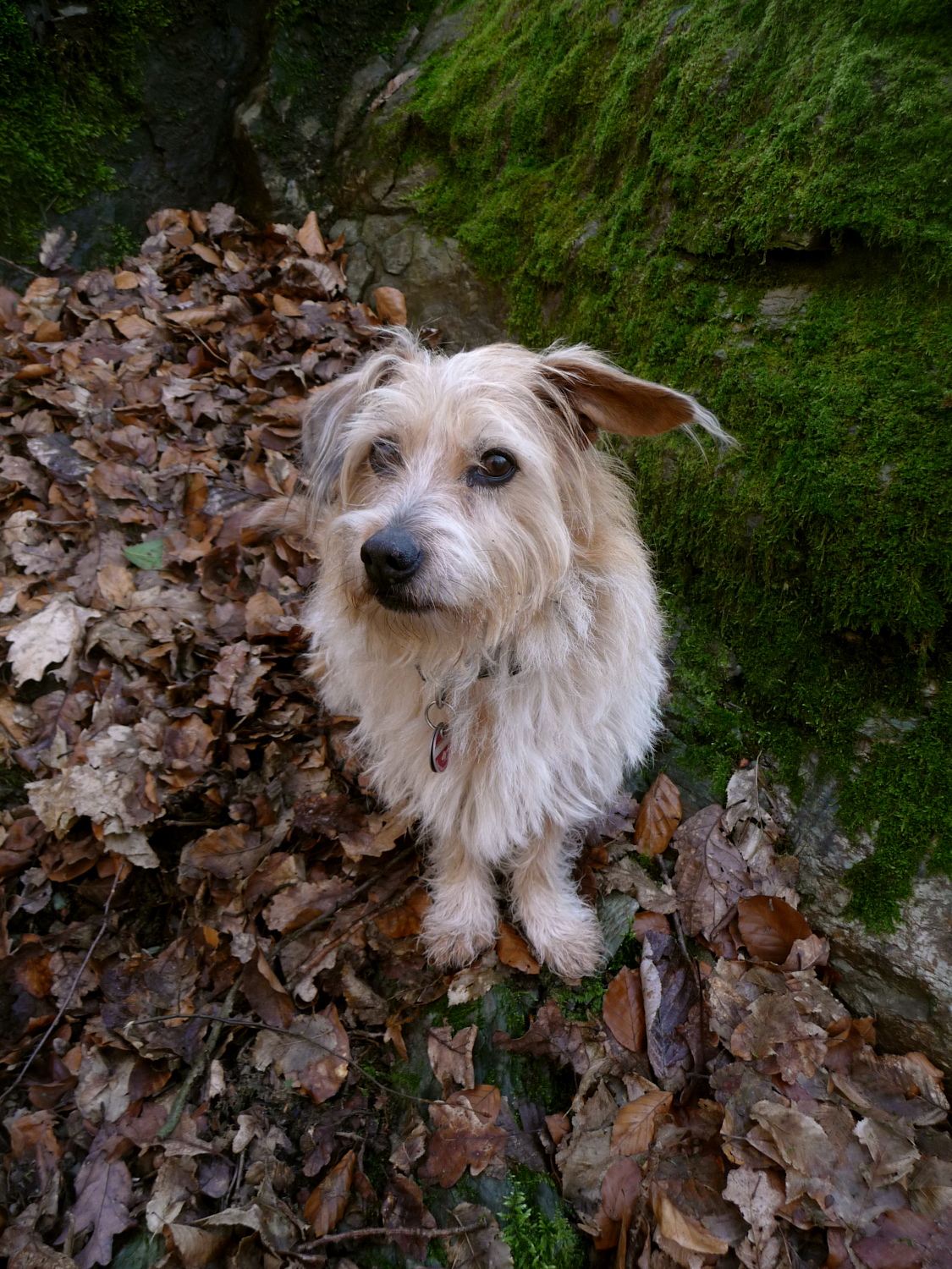 Der Blick ist Teil seiner Kernkompetenz.